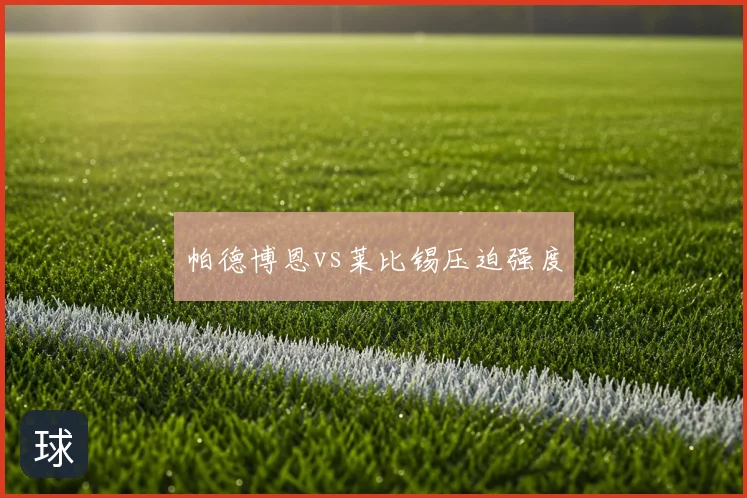 帕德博恩vs莱比锡压迫强度
